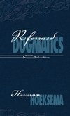 Reformed Dogmatics (Volume 2)