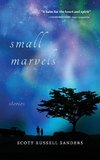 Small Marvels