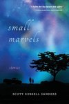 Small Marvels