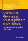 Sozialistische Ökonomie im Spannungsfeld der Modernisierung