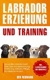 Labrador Erziehung und Training: Das große Labrador Buch