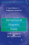 Astrophysical Magnetic Fields