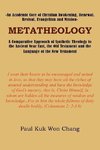 METATHEOLOGY