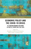 Economic Policy and the Covid-19 Crisis