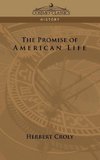 The Promise of American Life