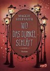 Wo das Dunkel schläft (Band 4)