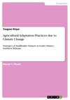 Agricultural Adaptation Practices due to Climate Change