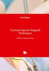 Current Cataract Surgical Techniques