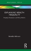 Explaining Wealth Inequality