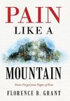 Pain Like a Mountain