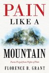 Pain Like a Mountain