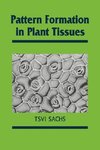 Pattern Formation in Plant Tissues