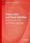 China's Belt and Road Initiative