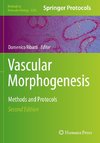 Vascular Morphogenesis