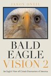 Bald Eagle Vision 2