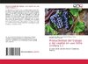 Productividad del trabajo y del capital en uva (Vitis vinifera L.)