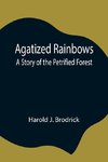 Agatized Rainbows