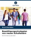 Bewältigungsstrategien von neuen Schulleitern