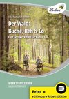 Der Wald: Buche, Reh & Co (Set)