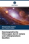 Geomagnetische Störungen durch solare und interplanetare Quellen