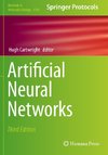 Artificial Neural Networks