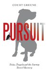 Pursuit