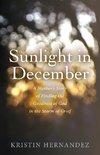 Sunlight in December