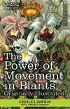 The Power of Movement in Plants