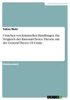 Ursachen von kriminellen Handlungen. Ein Vergleich der Rational-Choice-Theorie mit der General Theory Of Crime