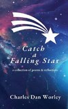 Catch a Falling Star