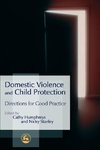 Domestic Violence and Child Protection