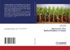 Agronomic Zinc Biofortification in maize