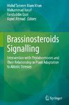 Brassinosteroids Signalling