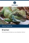 Drachen