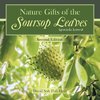 Nature  Gifts of the Soursop leaves (graviola leaves)