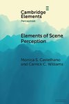 Elements of Scene Perception