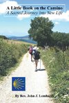 A Little Book on the Camino