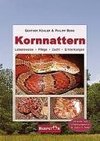 Kornnattern