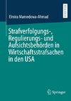 Strafverfolgungs-, Regulierungs- und Aufsichtsbehörden in Wirtschaftsstrafsachen in den USA