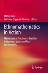 Ethnomathematics in Action