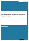 Hafenentwicklung und Rheinschifffahrt in Köln und Mainz