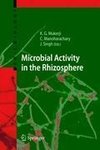 Microbial Activity in the Rhizosphere