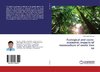 Ecological and socio-economic impacts of monoculture of exotic tree sp