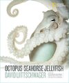 Octopus, Seahorse, Jellyfish