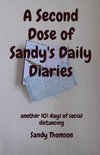 A Second Dose of Sandy's Daily Diaries