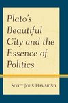 Plato's Beautiful City and the Essence of Politics