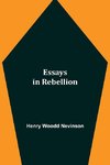 Essays in Rebellion