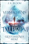 Das Vermächtnis von Talbrem (Band 1): Gestohlenes Herz