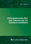 Lithiumgewinnung über eine Calcinierung von Salzsee-Kristallisaten