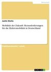 Mobilität der Zukunft. Herausforderungen für die Elektromobilität in Deutschland